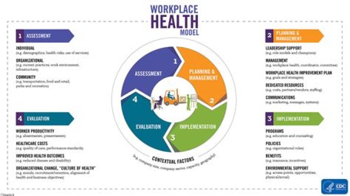 What are health models