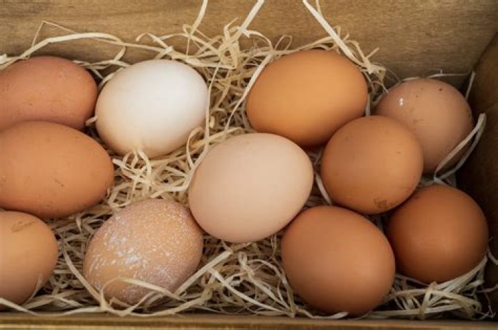 What are pastured eggs