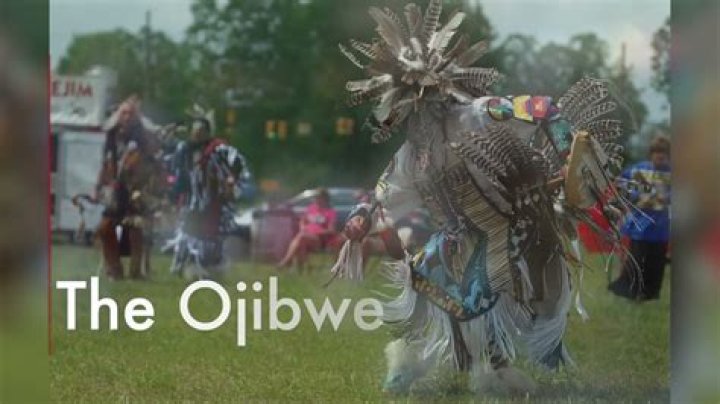 What did the Ojibwa do